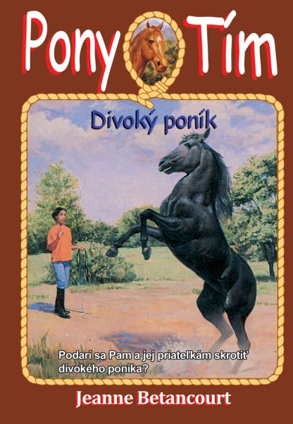 Divoký poník (Pony tím 9) (Betancourt, Jeanne)